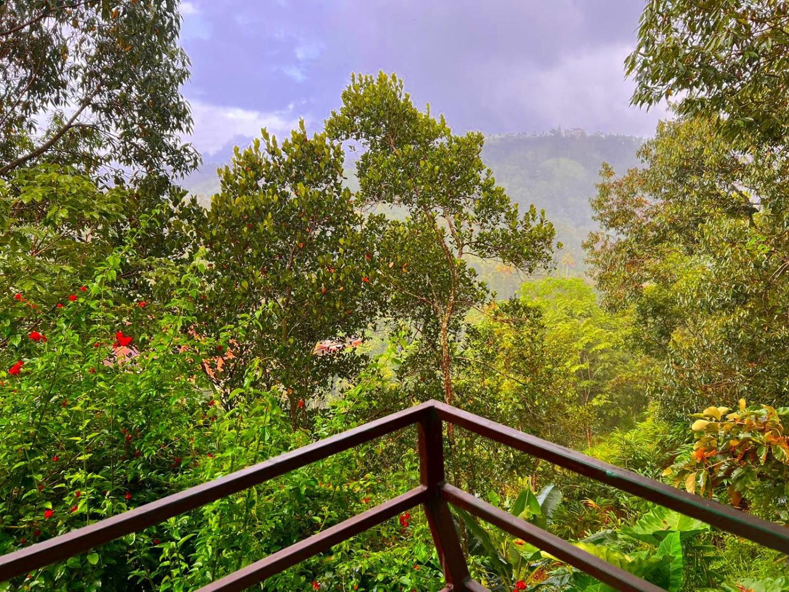 Misty Lake Resorts, Munnar Exterior photo