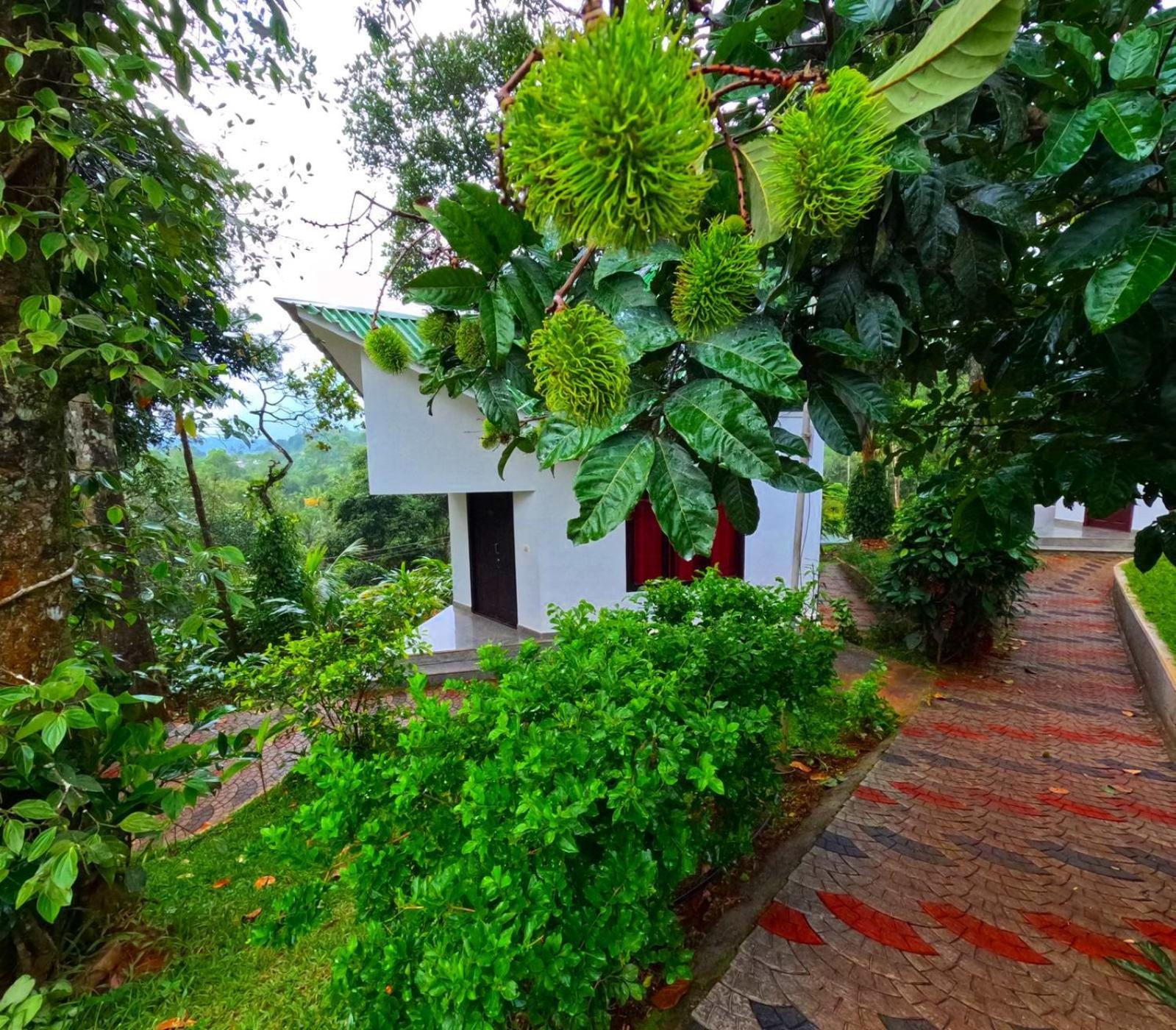 Misty Lake Resorts, Munnar Exterior photo