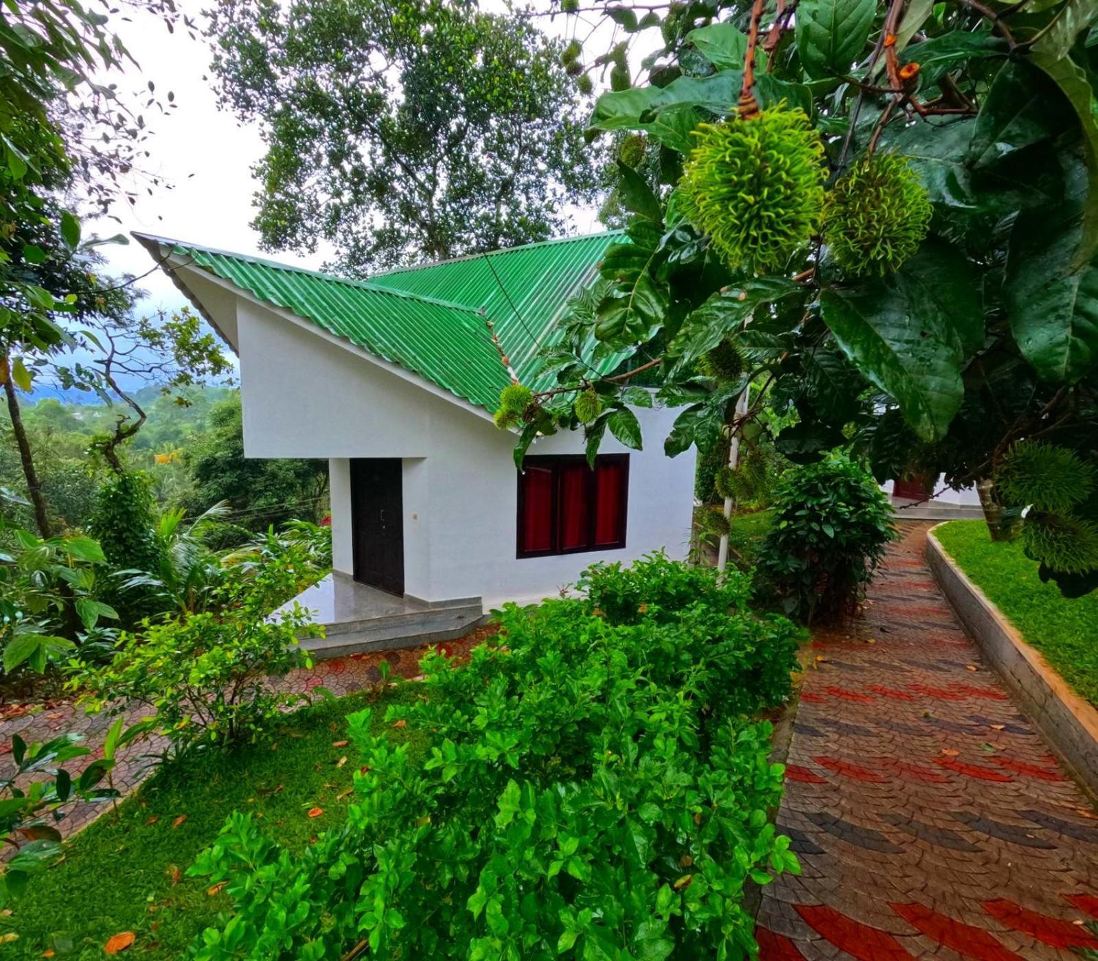 Misty Lake Resorts, Munnar Exterior photo